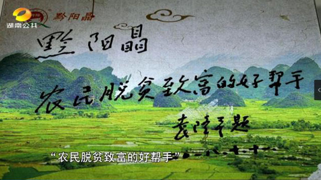 四川鮮生食袋科技有限公司,農(nóng)産品的(de)批發零售