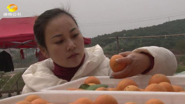 四川鮮生食袋科技有限公司,農(nóng)産品的(de)批發零售
