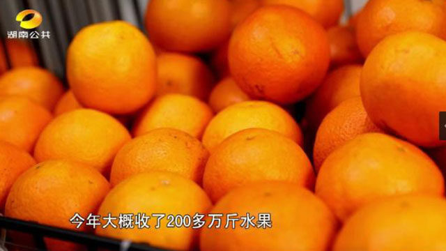 四川鮮生食袋科技有限公司,農(nóng)産品的(de)批發零售