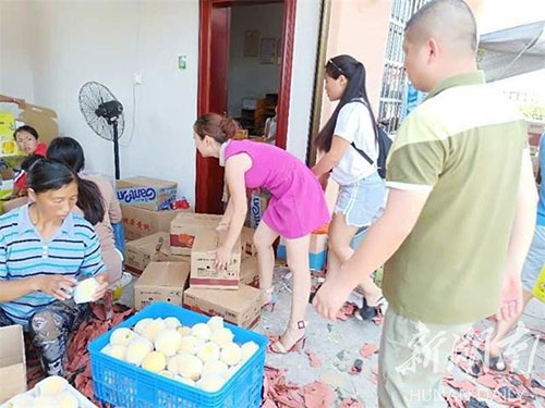 四川鮮生食袋科技有限公司,農(nóng)産品的(de)批發零售 四川鮮生食袋科技有限公司,農(nóng)産品的(de)批發零售
