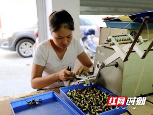 四川鮮生食袋科技有限公司,農(nóng)産品的(de)批發零售 四川鮮生食袋科技有限公司,農(nóng)産品的(de)批發零售