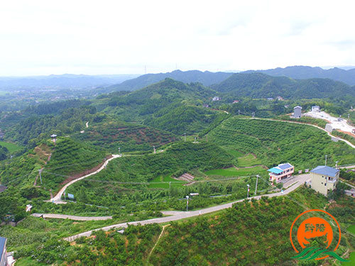 黔陽瞐黔陽黃(huáng)桃産業(yè)園2