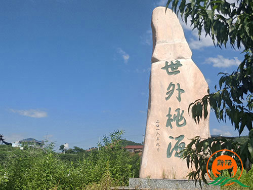 黔陽瞐黔陽黃(huáng)桃産業(yè)園3