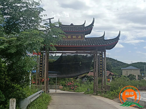 黔陽瞐黔陽黃(huáng)桃産業(yè)園15