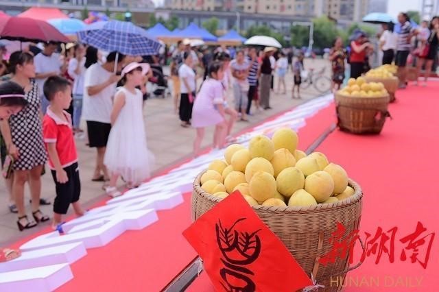 四川鮮生食袋科技有限公司,黔陽瞐農(nóng)産品的(de)批發零售 四川鮮生食袋科技有限公司,黔陽瞐農(nóng)産品的(de)批發零售