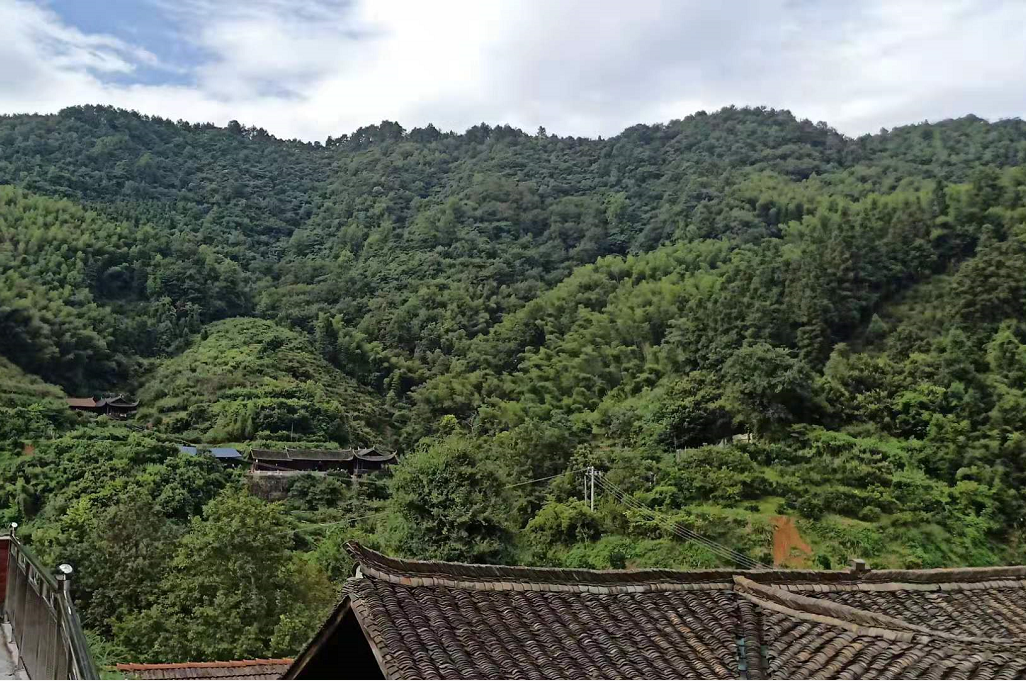 黔陽瞐安江松林(lín)基地(dì)