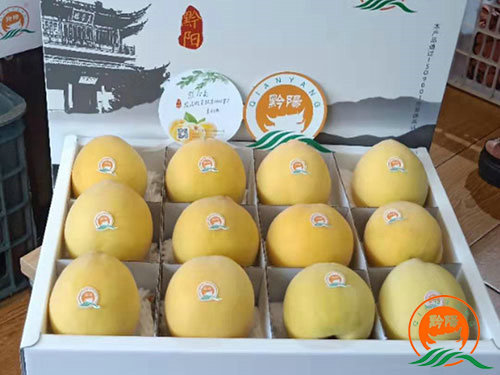 黔陽黃(huáng)桃