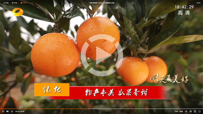 四川鮮生食袋科技有限公司,黔陽瞐農(nóng)産品的(de)批發零售