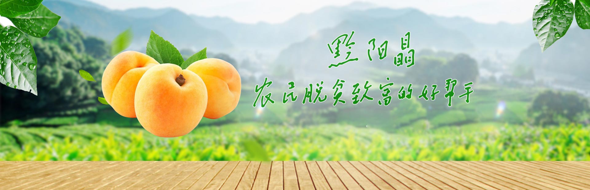 四川鮮生食袋科技有限公司_黔陽瞐_農(nóng)産品的(de)批發零售